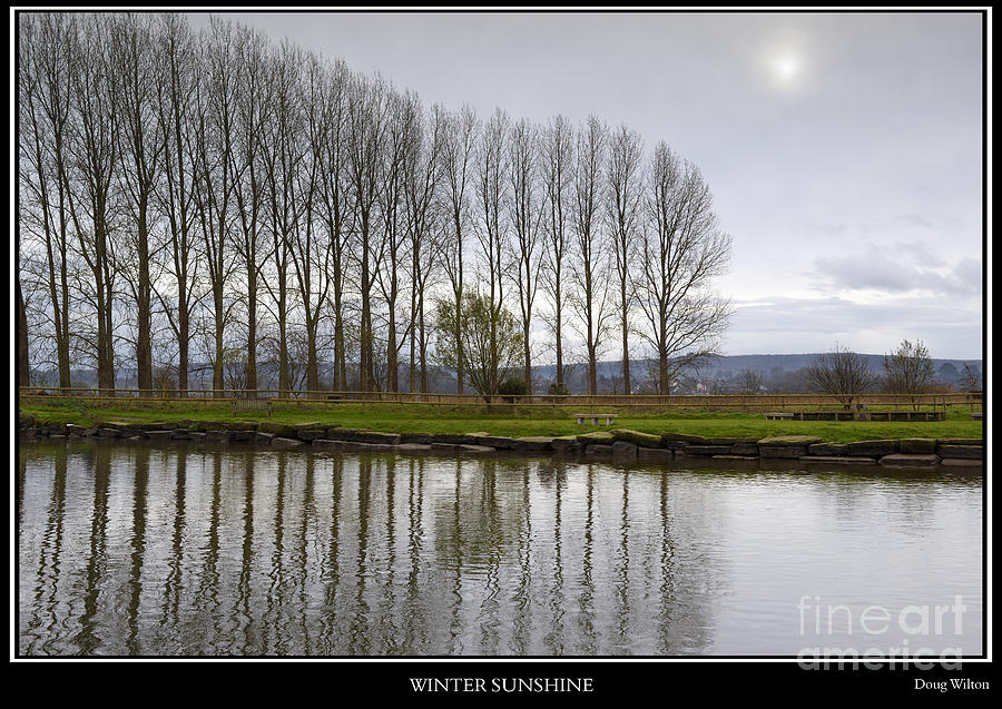 Tree Photograph - Winter Sunshine by Doug Wilton