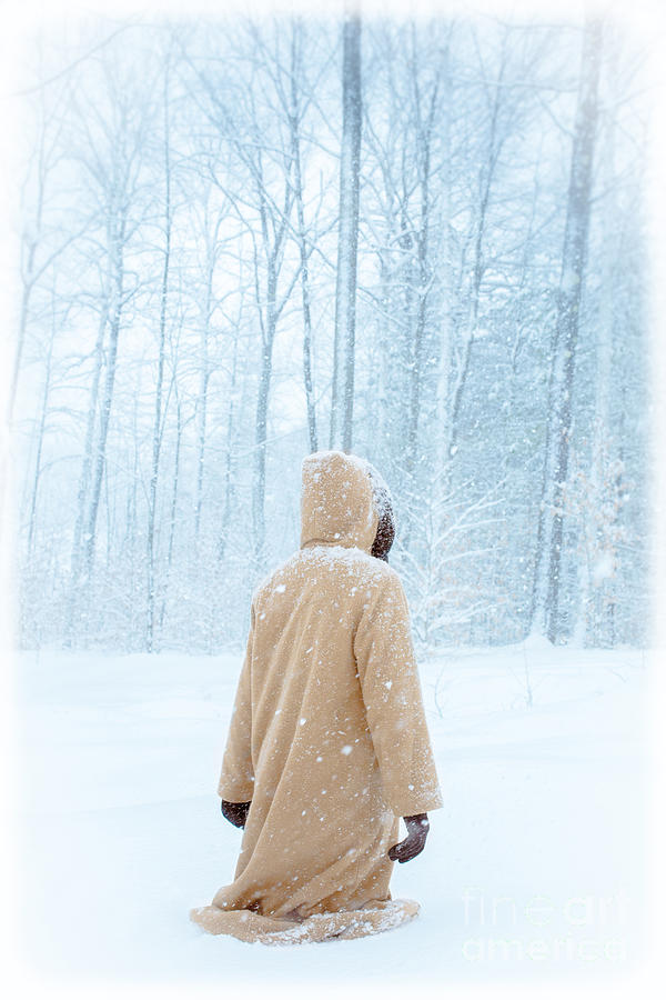 Winters Tale Photograph by Edward Fielding