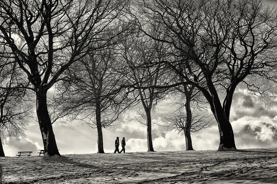 Black And White Photograph - Winters Walk by Russ Dixon