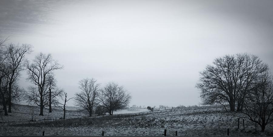 Winterscape-Black and White Photograph by Virginia Folkman