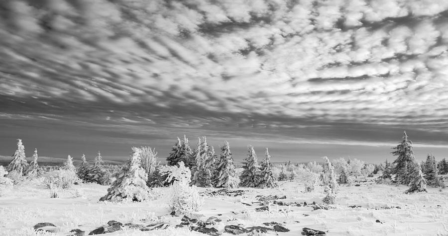 Winterscape Photograph by Martin Radigan