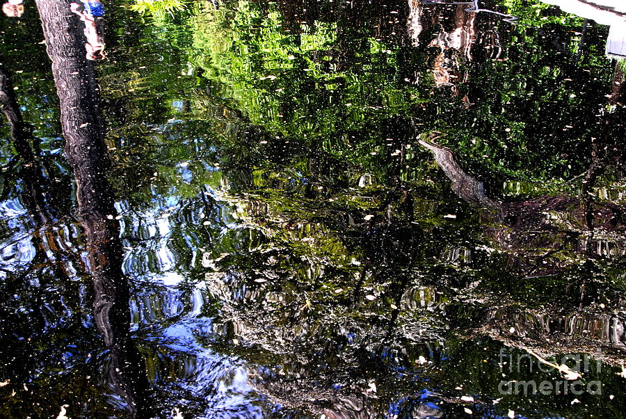 Winterthur Reflecting Pond Photograph by Jacqueline M Lewis