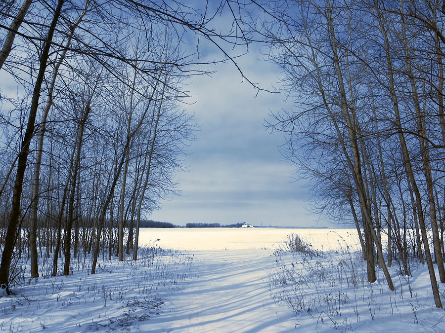 Wintertime at Sheldon Marsh Photograph by Shawna Rowe