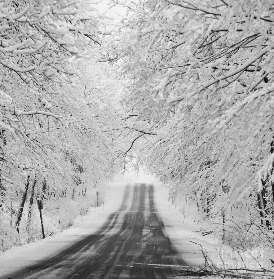 Winter Photograph - Wintertime in Wisconsin by Ricky L Jones