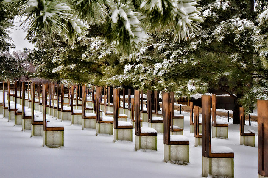 Wintery Field Of Empty Chairs Photograph by Lana Trussell