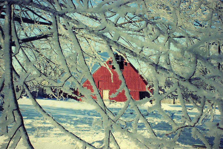 Our Frosty Barn Photograph by Julie Hamilton