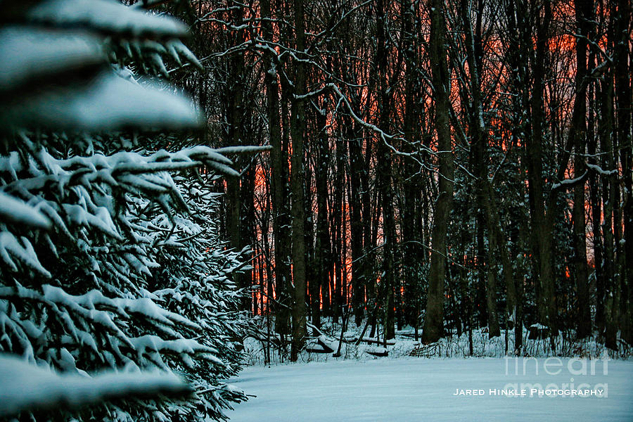 Wintery Sunset Photograph by Jared Hinkle