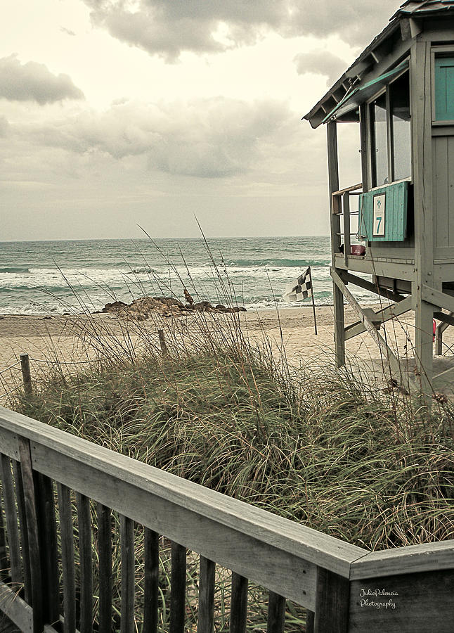 Wintry Beach Day Photograph by Julie Palencia