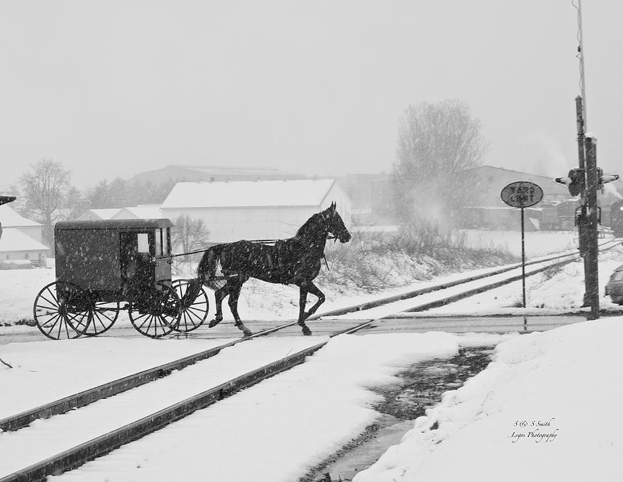 Winter Photograph - Wintry buggy ride by Steve and Sharon Smith