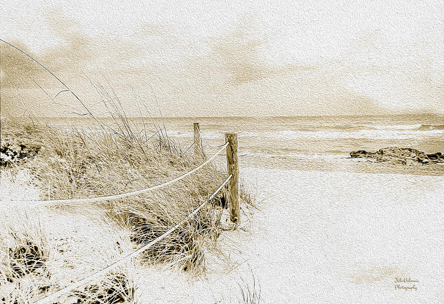 Wintry Day at the Beach  Photograph by Julie Palencia