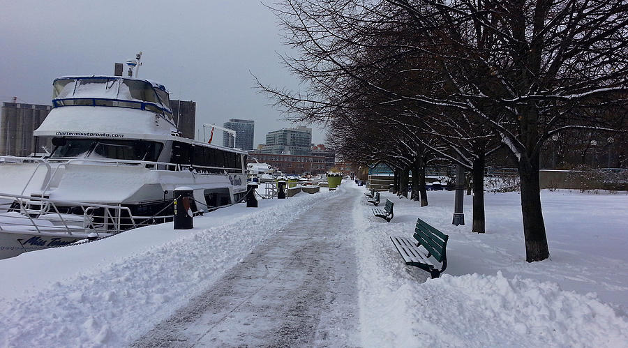 Wintry Day on Harbourfront Photograph by Nicky Jameson