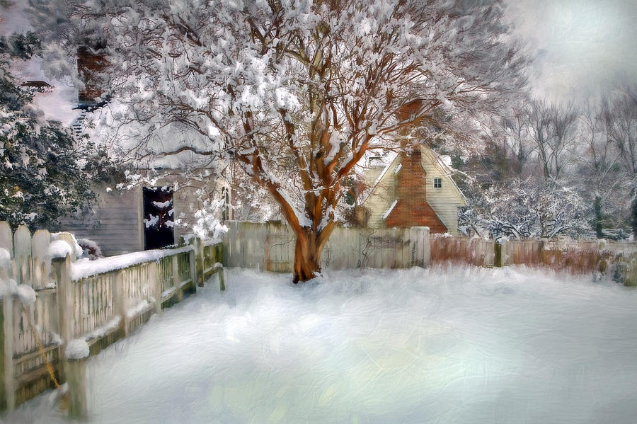 Wintry Garden Photograph by Jerry Gammon