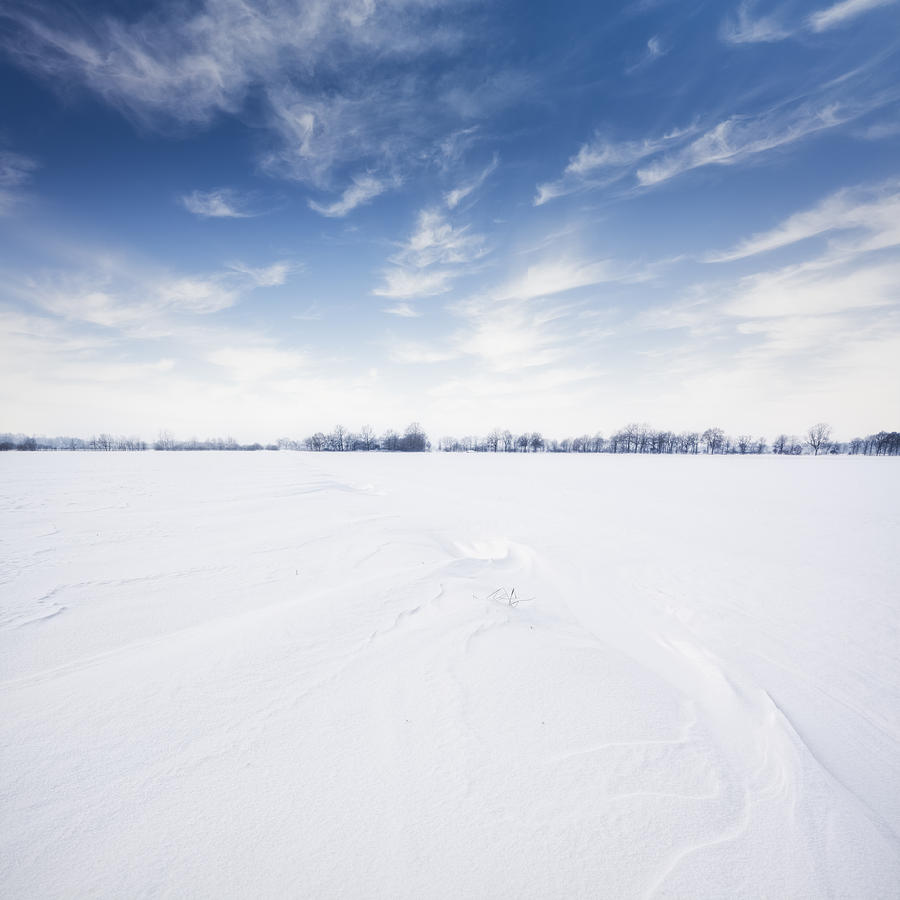 Wintry Landscape Photograph by Cinoby