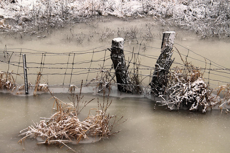 Wire Fence in Winter 2 Photograph by Jim Vance - Fine Art America