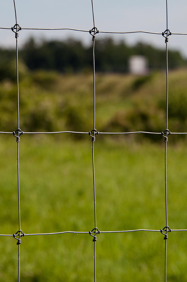 Abstract Photograph - Wire fence with green grass by Frank Gaertner