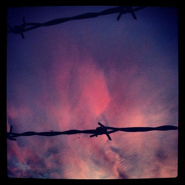 Pink Photograph - #wire #sky #pink #westcoast #webstagram by Greg Orozco
