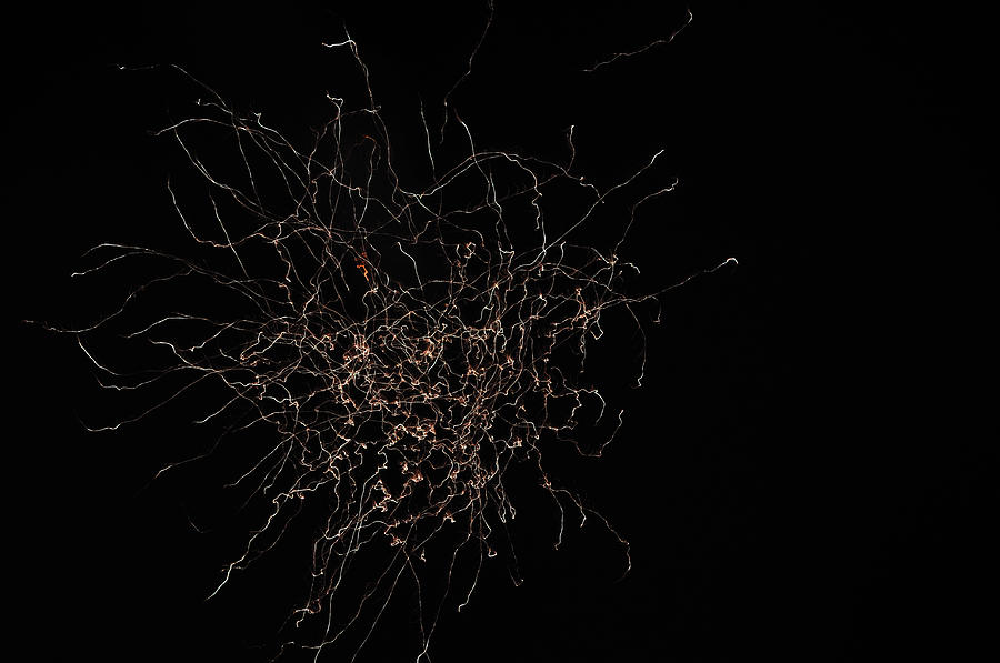 Fireworks Photograph - Wired by Jose Diogo