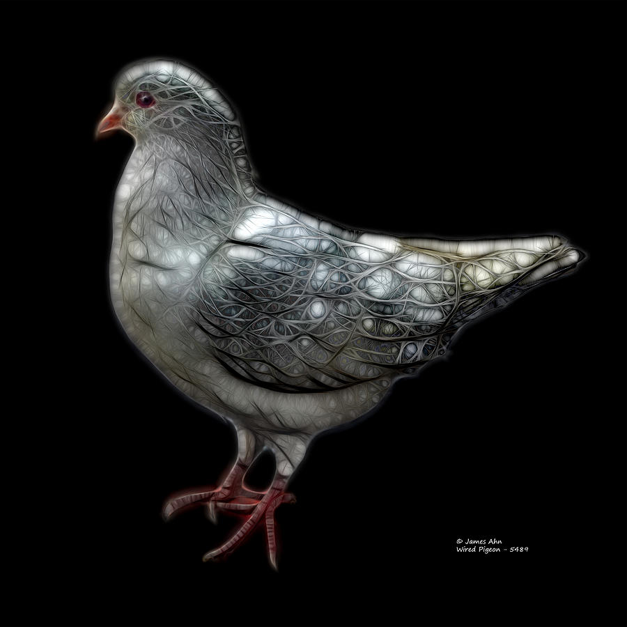 Wired Pigeon - 5489 - James Ahn Digital Art by James Ahn