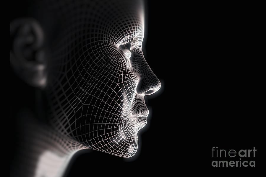 Wireframe Face Female Photograph by Science Picture Co