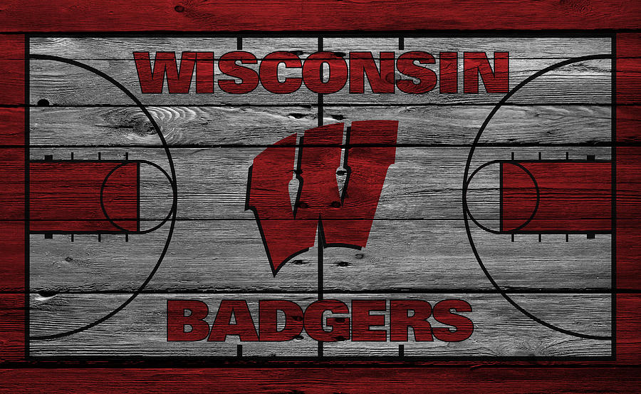 Badgers Photograph - Wisconsin Badger by Joe Hamilton Badgers Photograph - Wisconsin Badger by Joe Hamilton