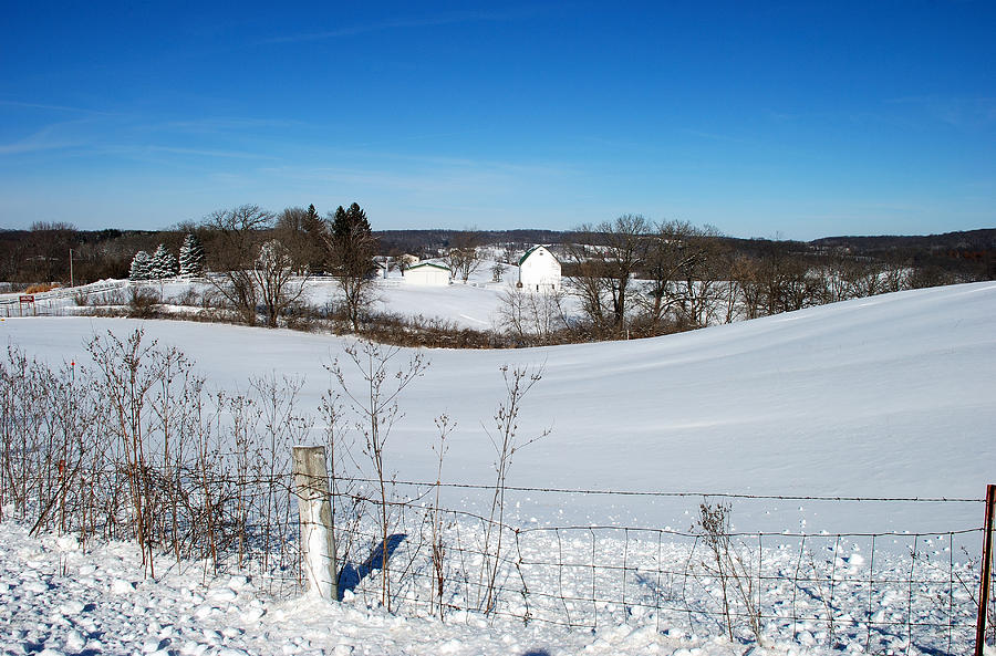 Wisconsin Countryside And A Fresh Layer Of White Photograph by Janice Adomeit