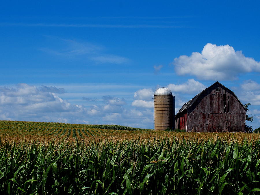 Wisconsin Farmland Photograph by Griffin Harris - Fine Art America