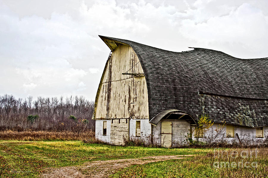 Wisconsin Old Barn 1 Photograph by Ms Judi