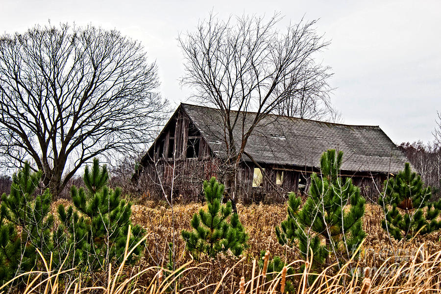 Wisconsin Old Barn 9 Photograph by Ms Judi