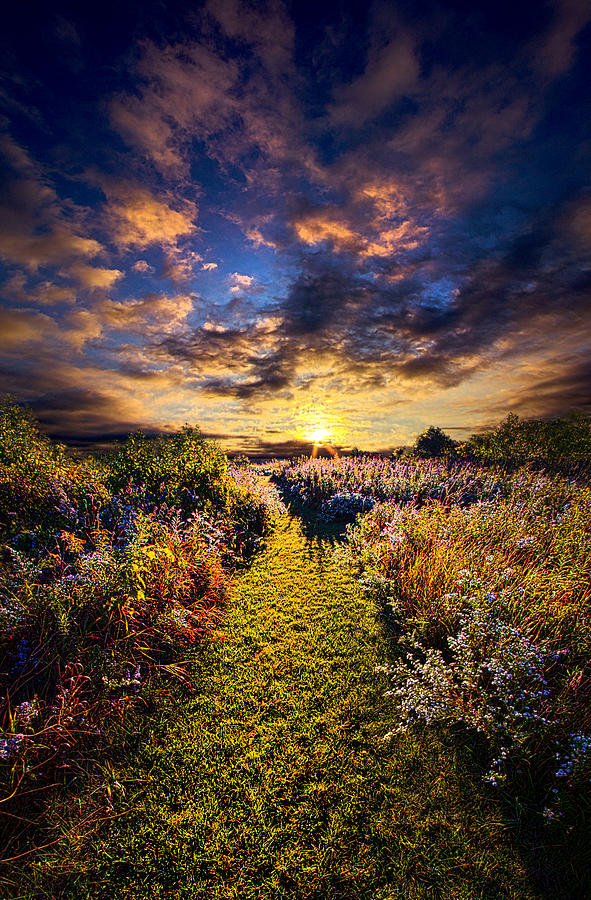 Wisconsin Trails Photograph by Phil Koch | Fine Art America