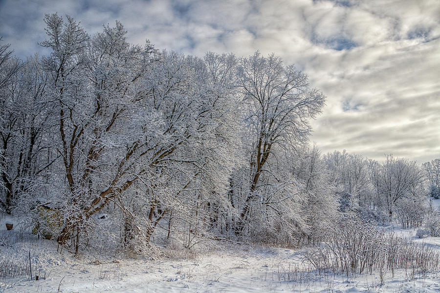 Winter Photograph - Wisconsin Winter by Joan Carroll