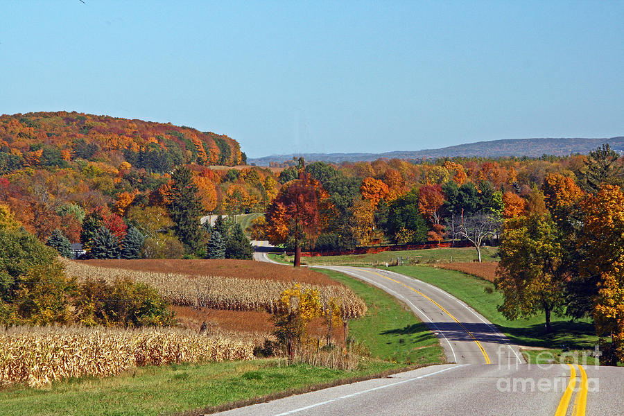 Wisconsins Fall Color Photograph by Joan McArthur