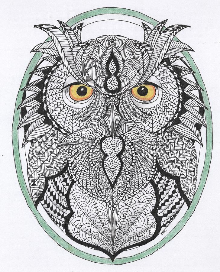 Owl Drawing - Wisdom by Cathy Cusson