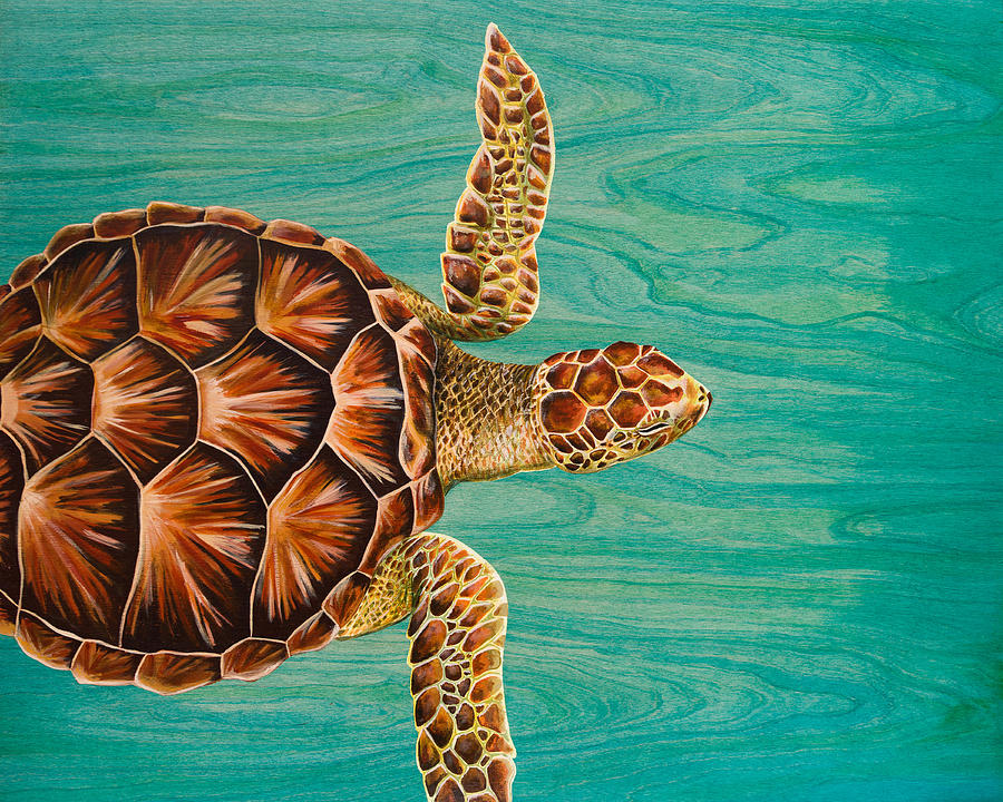 Turtle Painting - Wise Honu  by Emily Brantley
