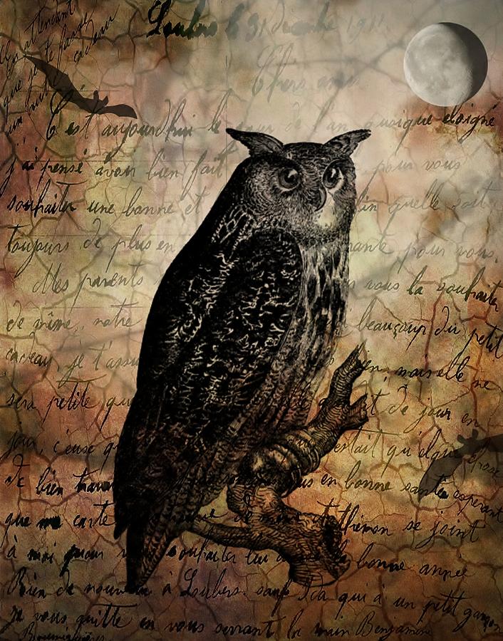Wise Old Owl Digital Art by Lora Mercado