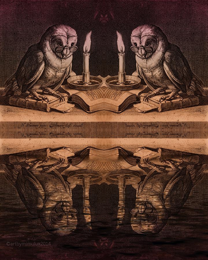 Wise Owls ... read Digital Art by Mimulux Patricia No