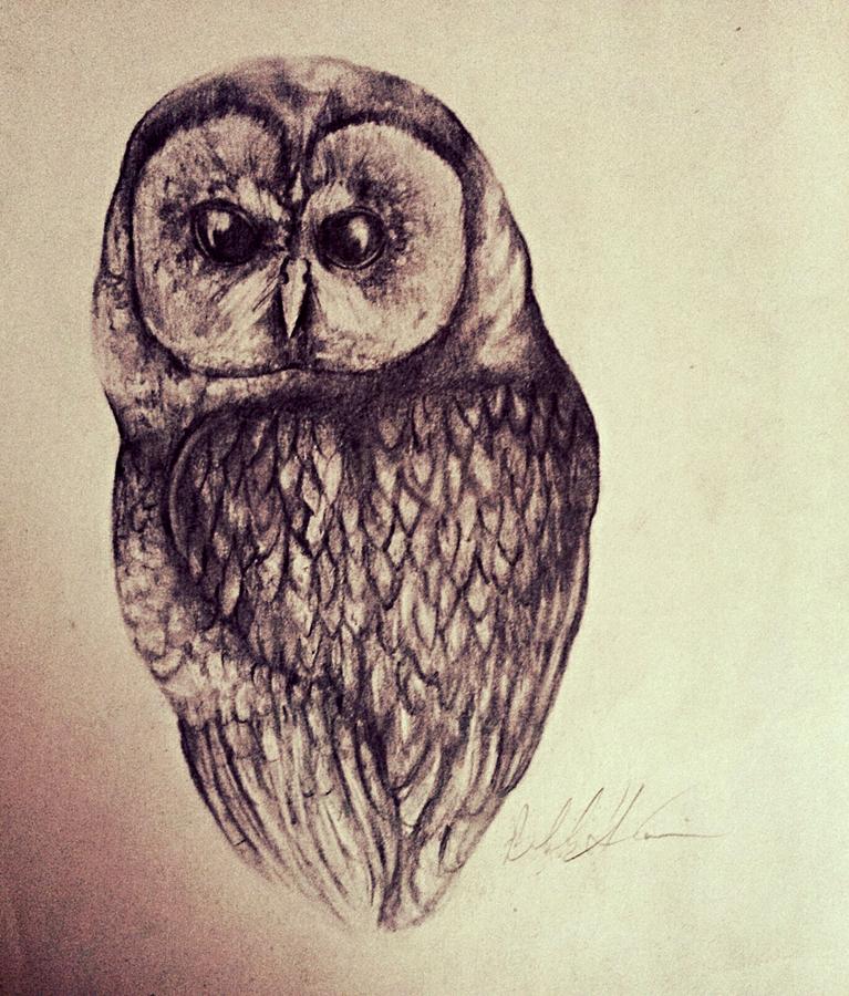 WiseOwl Drawing by Bobby Hileman - Fine Art America