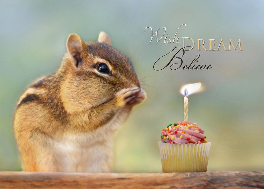 Squirrel Mixed Media - Wish Dream Believe by Lori Deiter