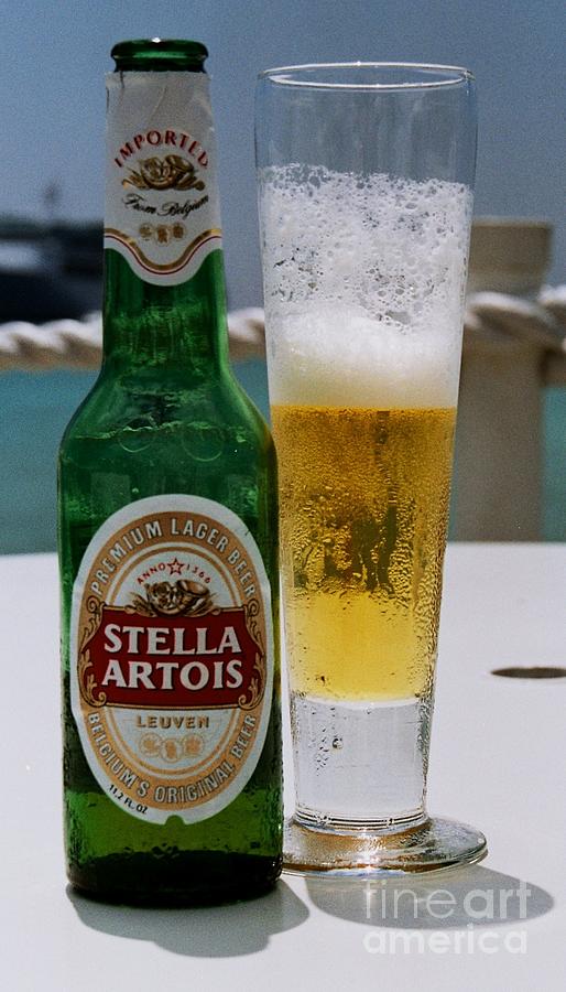 Cheers From Stella In The Cayman Islands Photograph by Marcus Dagan