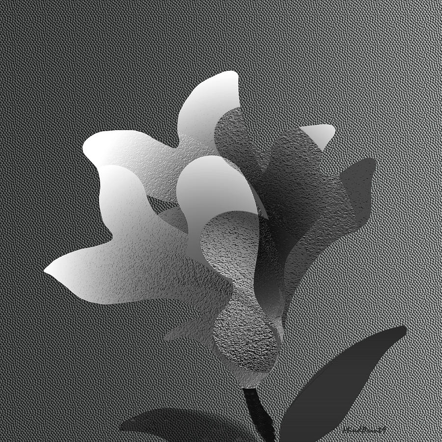 Wishful Flower B/W Digital Art by Asok Mukhopadhyay