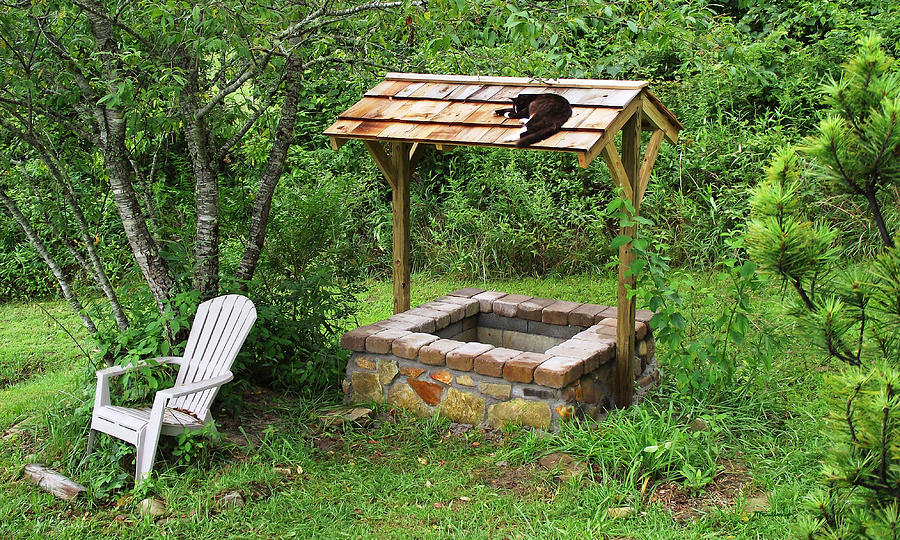 Wishing Well and Cat Photograph by Duane McCullough