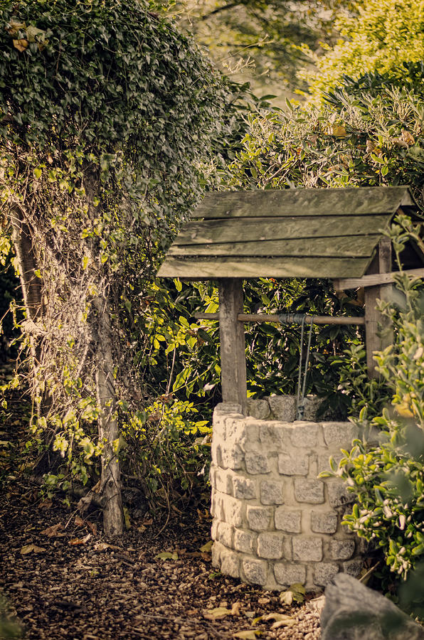 Wishing Well Photograph by Heather Applegate