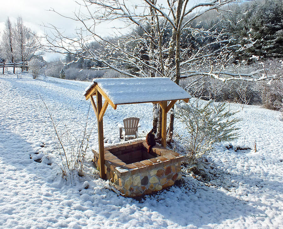 Wishing Well in the Snow with Kitty Cat 2 Photograph by Duane McCullough