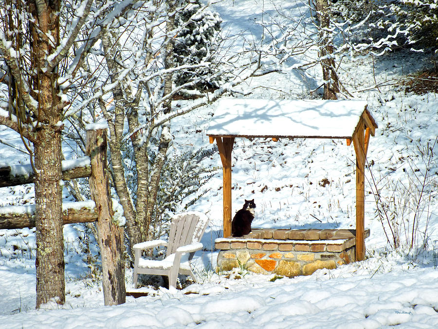 Wishing Well in the Snow with Kitty Cat 3 Photograph by Duane McCullough