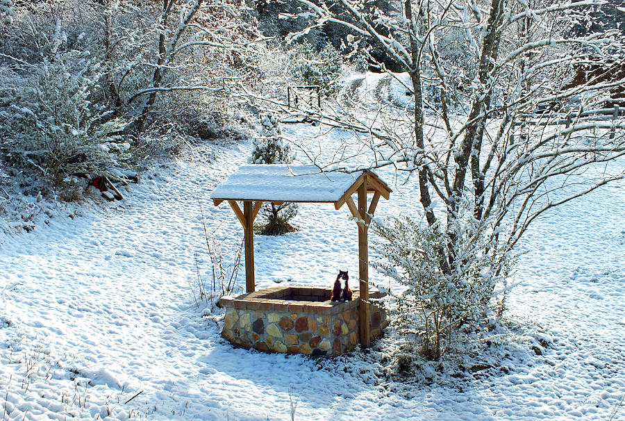 Wishing Well in the Snow with Kitty Cat Photograph by Duane McCullough