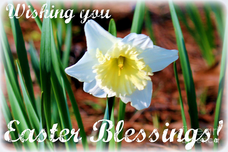 Wishing You Easter Blessings Photograph by Kathy  White