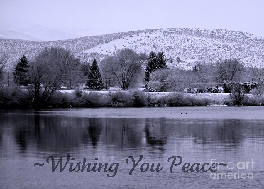 Holiday Photograph - Wishing You Peace - Greeting Card by Carol Groenen