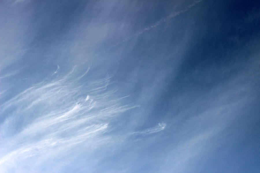 Wispy Photograph by Beth Vincent