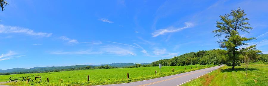 Panoramic Photograph - Wispy Clouds by Judy  Waller