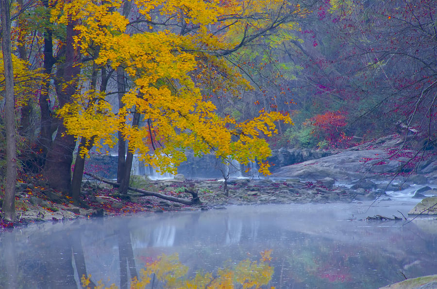 Wissahickon Morning in Autumn Photograph by Bill Cannon