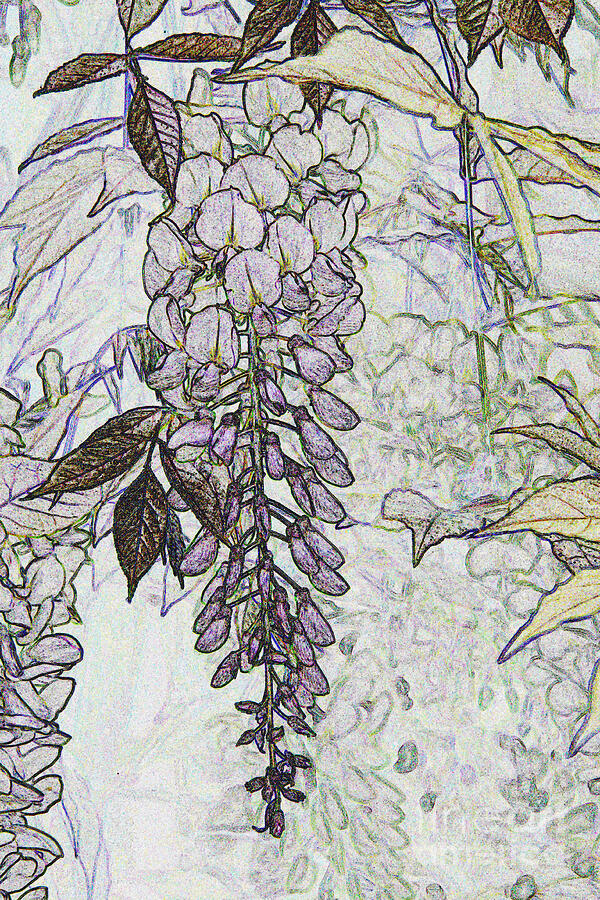 Wisteria Abstract Photograph by Christiane Schulze Art And Photography